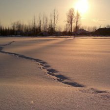 snow-259974_1920