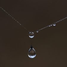 spider-web-4650196_1920